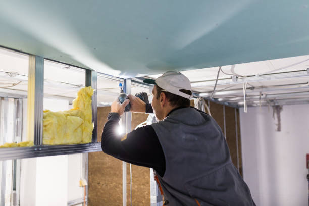 Best Energy-efficient Insulation  in Northville, MI