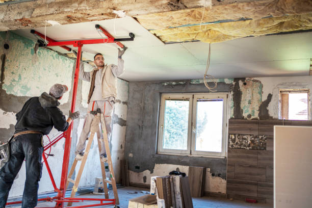 Best Insulation Installation Cost  in Northville, MI