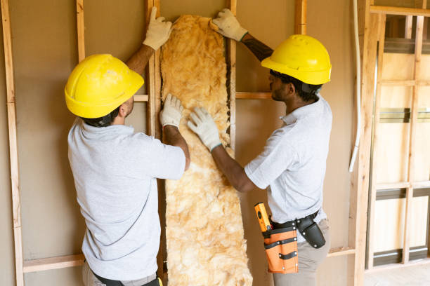 Best Crawl Space Insulation  in Northville, MI
